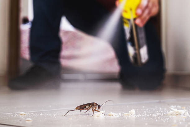 Professional Pest Control in Wheeling, WV